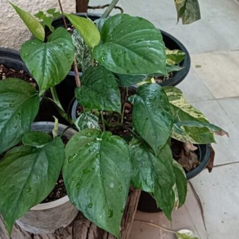 photo_2024-01-11_10-34-47 (2) photo_2024-01-11_10-34-47 (2)