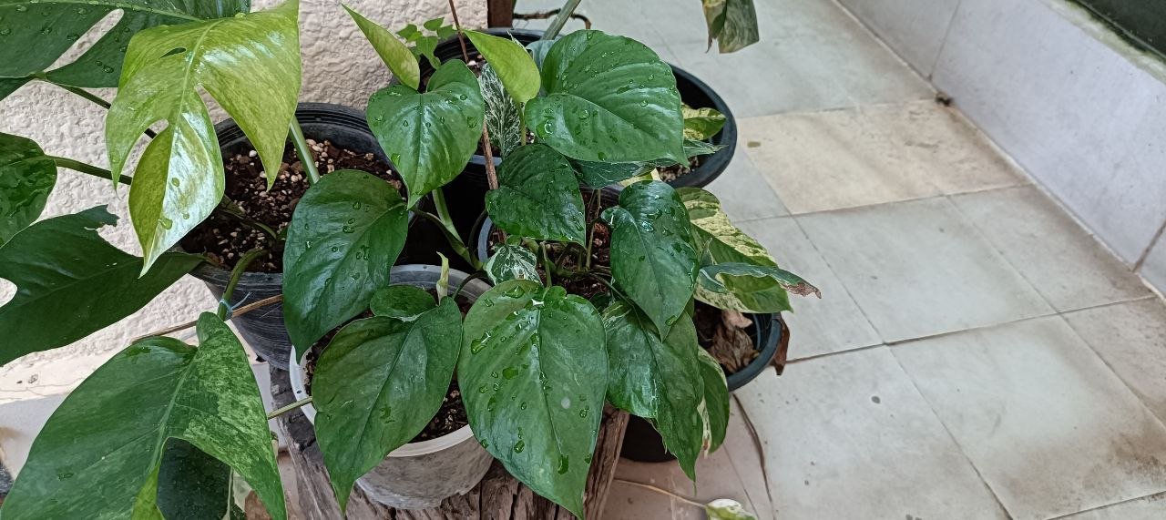 photo_2024-01-11_10-34-47 (2)