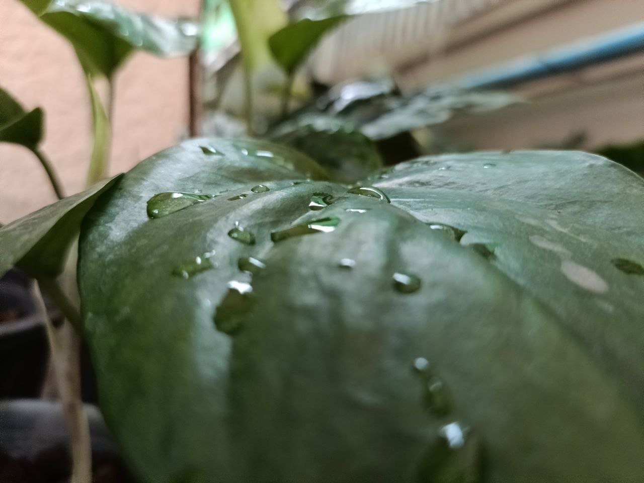 photo_2024-01-11_10-34-47